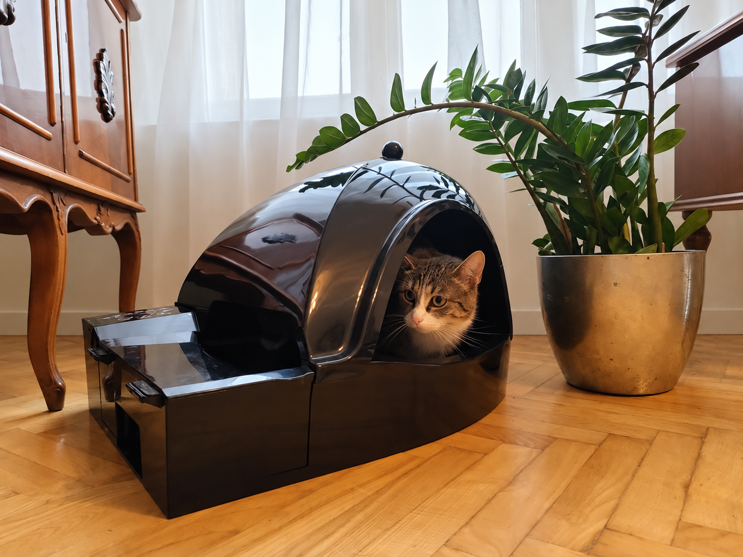 Kot w kuwecie SmartKitty w domowym wnętrzu